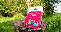 Sack Blumenerde in Schubkarre mit Erde, Gartenpflanze und Handschaufel im Garten