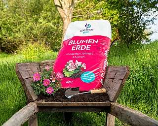 Sack Blumenerde in einer Schubkarre mit Blumen und Gartenschaufel