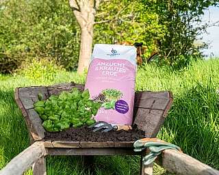 Gartenschubkarre mit Anzucht- und Kräutererde und Gartenhandschuhen im Gras