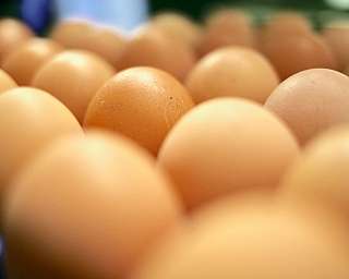 Eine Reihe von braunen Eiern in einem Karton.