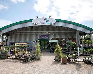 Eingang eines Gartencenters mit Pflanzen, Holzpaletten und verschiedenen Gartenartikeln
