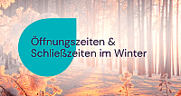 Verschneiter Winterwald mit Sonnenlicht, das die Bäume und den Boden erwärmt