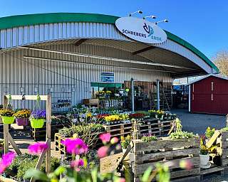 Rindenmulch