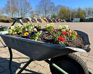 Schubkarre Landmarkt